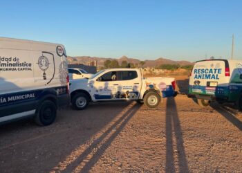 Surgen testimonios sobre posible caso de maltrato animal