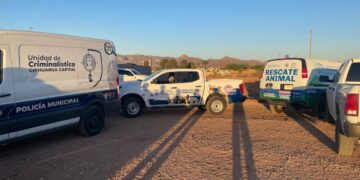 Surgen testimonios sobre posible caso de maltrato animal