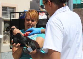 Anuncian colonias que visitará el programa “El Patio de Mi Casa” en junio