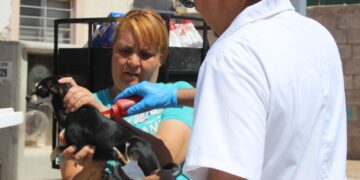 Anuncian colonias que visitará el programa “El Patio de Mi Casa” en junio