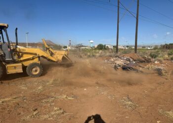 Empresa involucrada en caso de caninos atiende solicitud de limpieza