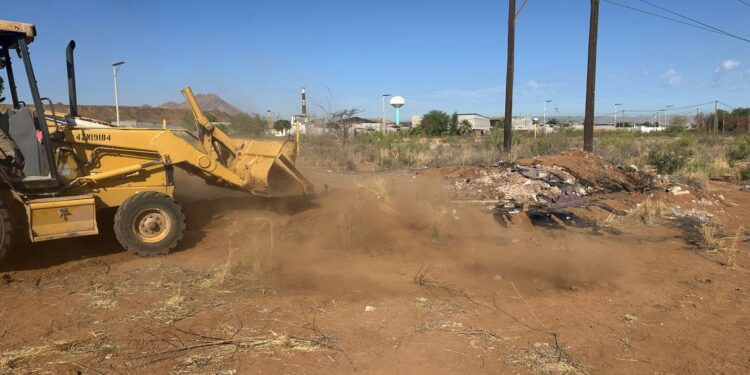 Empresa involucrada en caso de caninos atiende solicitud de limpieza
