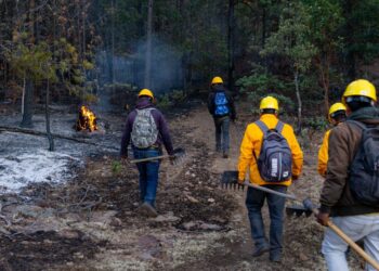 Liquidan brigadistas tres incendios forestales de ayer a hoy