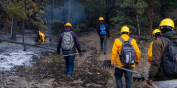 Liquidan brigadistas tres incendios forestales de ayer a hoy