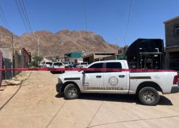 Catean granja en la colonia Divisadero