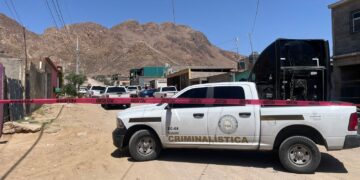 Catean granja en la colonia Divisadero