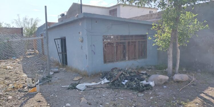 Abandonan a perrita y sus cachorros en casa deshabitada