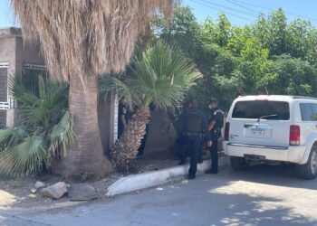 Hallan a hombre sin vida en colonia Porvenir