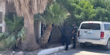 Hallan a hombre sin vida en colonia Porvenir