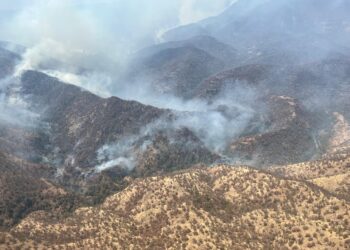 Trabajan SDR, CEPC, Conafor y Sedena en combate de nueve incendios forestales en el estado