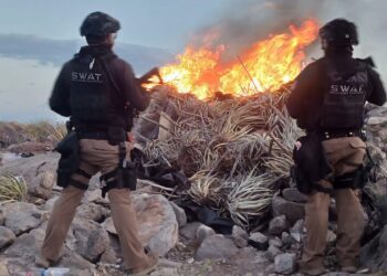 Desmantelan campamento del crimen organizado en la sierra de Aldama