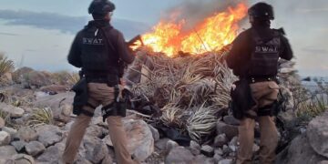 Desmantelan campamento del crimen organizado en la sierra de Aldama