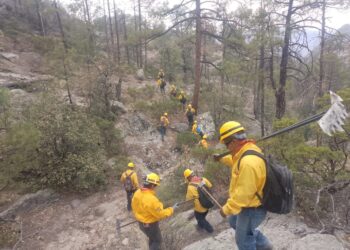Sin incendios forestales activos este domingo 22 de junio