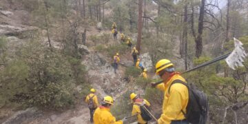 Sin incendios forestales activos este domingo 22 de junio