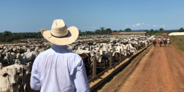 Abre SDR convocatoria para apoyos en capacitación a ganaderos de Chihuahua