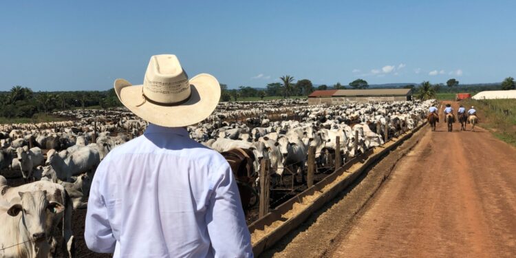 Abre SDR convocatoria para apoyos en capacitación a ganaderos de Chihuahua