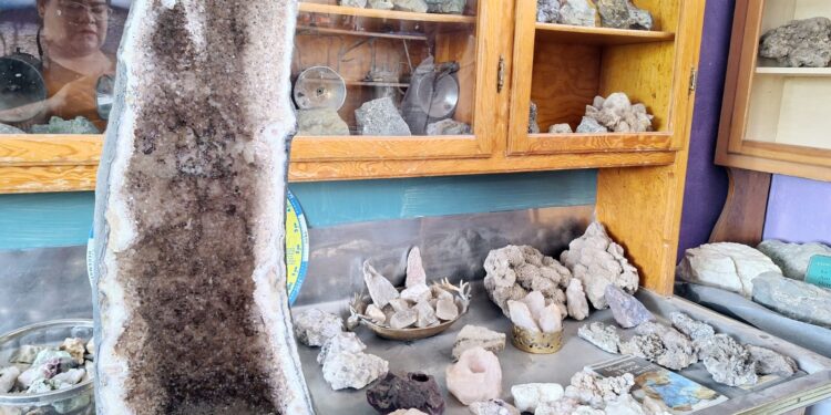 Museo Favela: un viaje al pasado entre fósiles y cultura