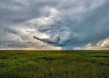 Lluvias favorecen al campo chihuahuense