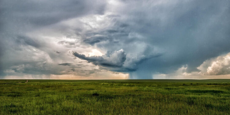 Lluvias favorecen al campo chihuahuense