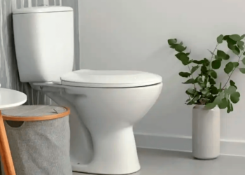 ¿Lo sabías? Para esto sirven las dos tapas del inodoro