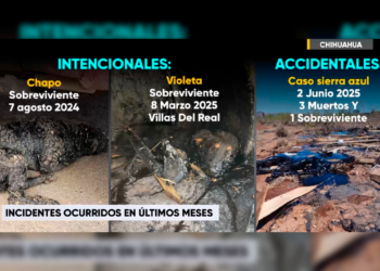 Suman tres casos de perros cubiertos con chapopote en Chihuahua