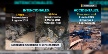 Suman tres casos de perros cubiertos con chapopote en Chihuahua