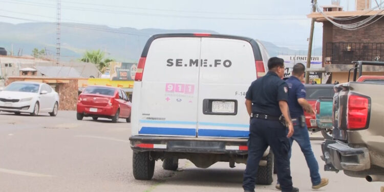 Muere hombre tras ataque de abejas en Saucillo