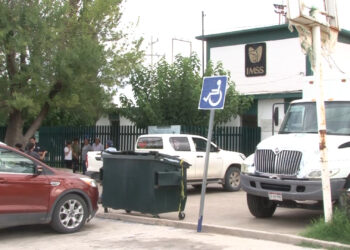 Muere hombre tras ataque de abejas en Saucillo