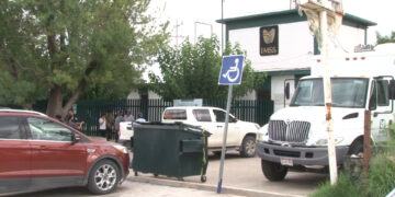 Muere hombre tras ataque de abejas en Saucillo