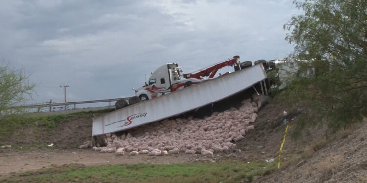 Vuelca tráiler con carga de cebolla en el puente Caracol de Delicias