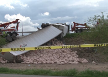 Vuelca tráiler con carga de cebolla en el puente Caracol de Delicias