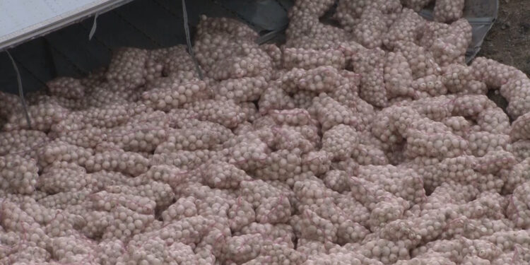 Vuelca tráiler con carga de cebolla en el puente Caracol de Delicias