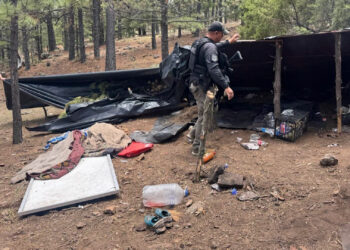 Destruyen campamento del crimen organizado en Madera