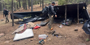Destruyen campamento del crimen organizado en Madera