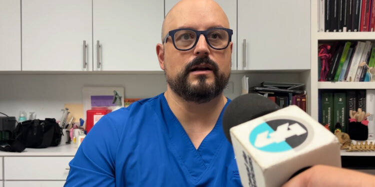 Descartan ataque con arma de fuego contra el perro “Rocky”