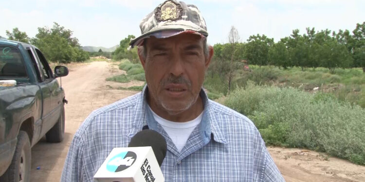 Productores del centro-sur abastecen de sandía a hogares chihuahuenses
