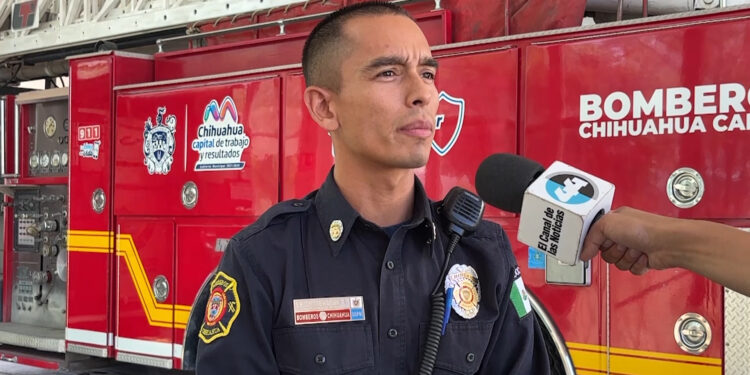 Aumenta presencia de víboras tras lluvias en Chihuahua