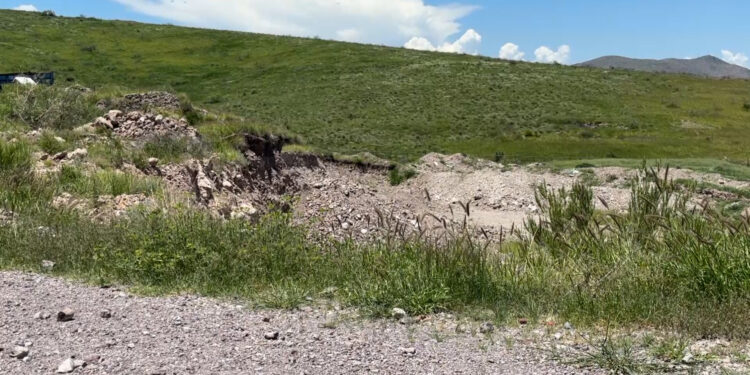 Aumenta presencia de víboras tras lluvias en Chihuahua