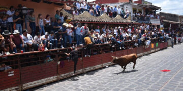 ¡Para que se ponen! Toro deja once heridos en la Xiqueñada, uno fue corneado en la cabeza