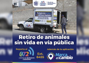 Ofrecen servicio de retiro de animales sin vida en la vía pública