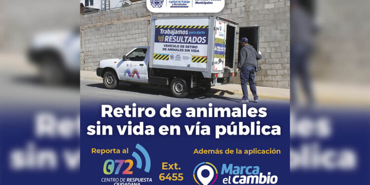 Ofrecen servicio de retiro de animales sin vida en la vía pública