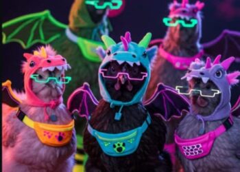 Gallinas fiesteras se hacen virales en redes sociales