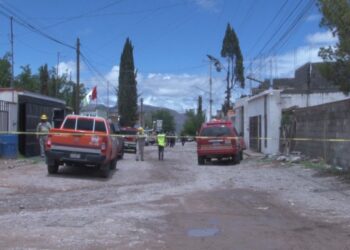 Hombre sufre descarga eléctrica mientras podaba un árbol
