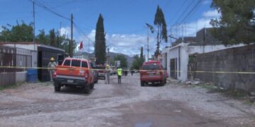 Hombre sufre descarga eléctrica mientras podaba un árbol