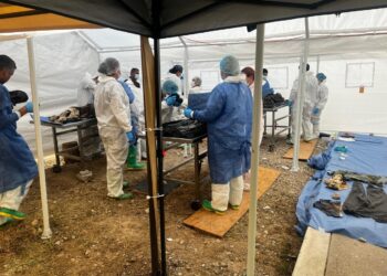 Atiende Fiscalía más de 600 personas por crematorio Plenitud