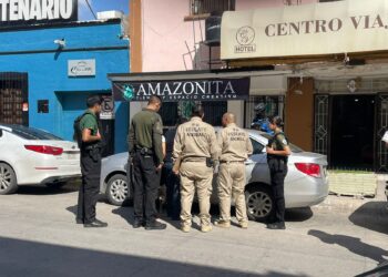 Rescatan a perritos chihuahuas encerrados en auto en el centro