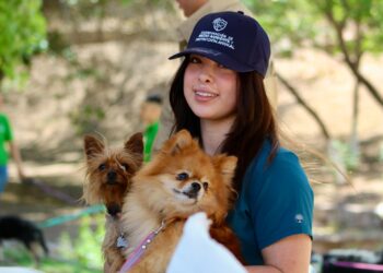 Invitan a vacunar y desparasitar mascotas desde tu auto en Polideportivo