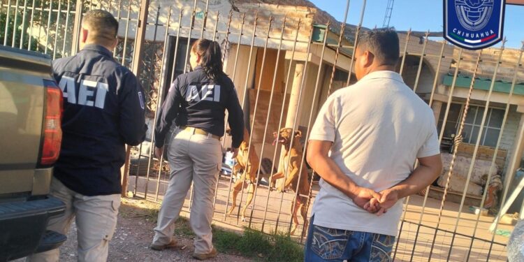 Atienden denuncia de maltrato animal en Nuevo Casas Grandes
