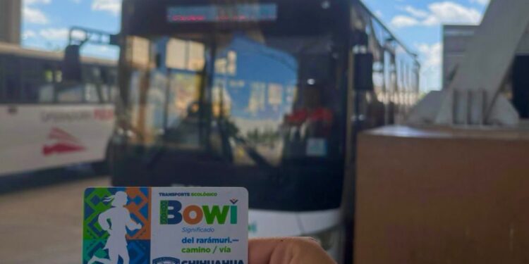 Invita Bowí a consultar dudas o reportes de recargas y tarjetas en el BowíChat