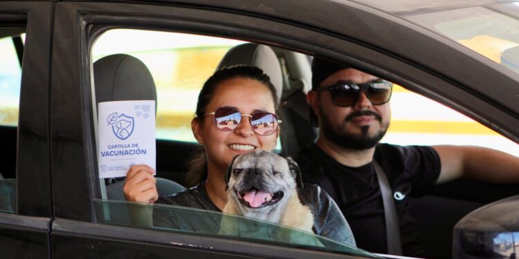 Atienden a más de 2,800 mascotas en jornada “Súbelos y Vacúnalos”